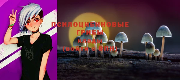 ПСИЛОЦИБИНОВЫЕ ГРИБЫ Заволжье