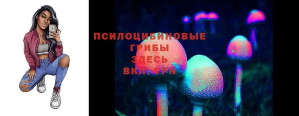 ПСИЛОЦИБИНОВЫЕ ГРИБЫ Заволжье