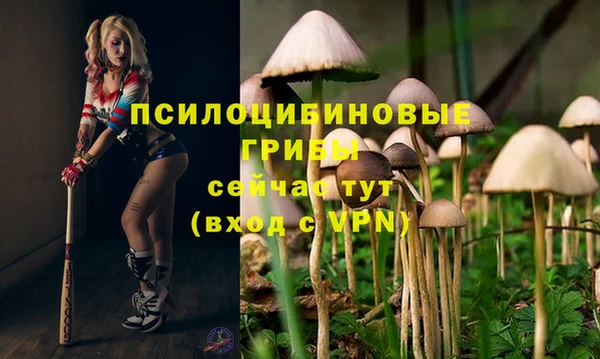 гашишное масло Заводоуковск